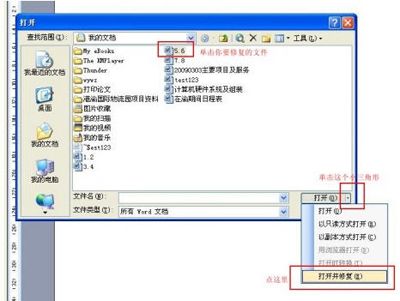 使用方法介绍:Word恢复文本转换器