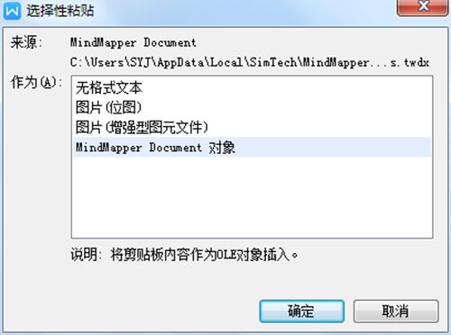 MindMapper导图插入到Word教程
