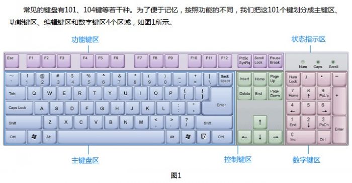 金山打字通新手指南:认识键盘