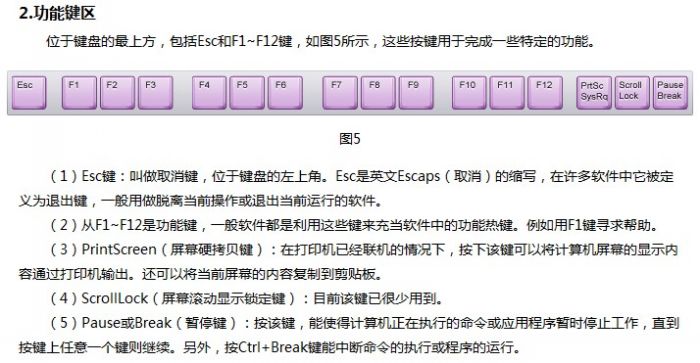 金山打字通新手指南：认识键盘