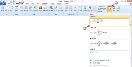 word 2010 公式功能的设计、使用