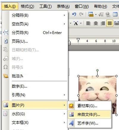 如何用WPS制作个性化模板