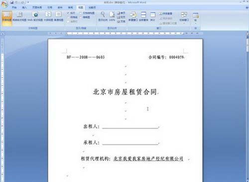 Word2007入门教程之视图功能区