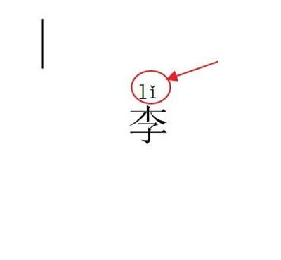 金山wps教程:打出拼音和声调