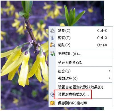 如何用WPS文字制作水印