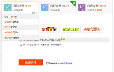 WPS云空间已满解决办法