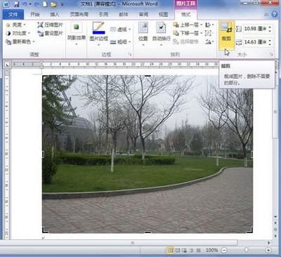 Word2010中裁剪图片的秘技
