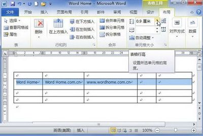 Word2010:行高和列宽的调整诀窍