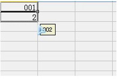 WPS表格:以0为开头的数字的输入技巧