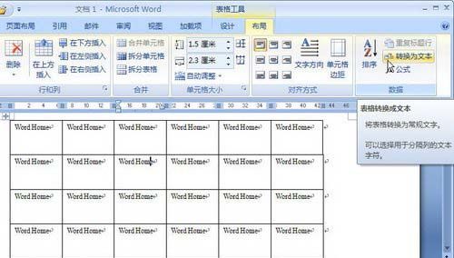 Word2007:表格转换成文本格式