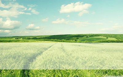 设置PPT宽屏显示小技巧