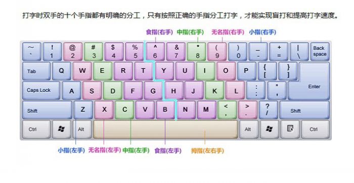 金山打字通新手指南:手指分工介绍