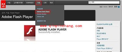 shockwave flash崩溃的解决方法汇总