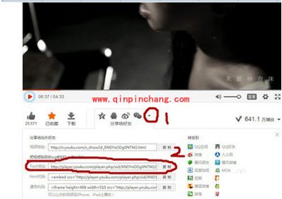在优酷、爱奇艺等视频网站如何找视频地址?