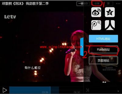 在优酷、爱奇艺等视频网站如何找视频地址?