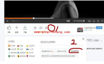 在优酷、爱奇艺等视频网站如何找视频地址?