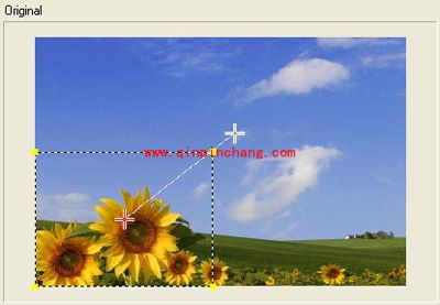 会声会影教程之自动摇动和缩放