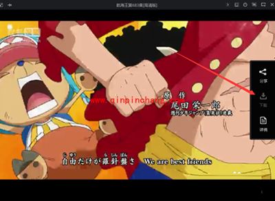 搜狐影音无法下载视频的解决方法