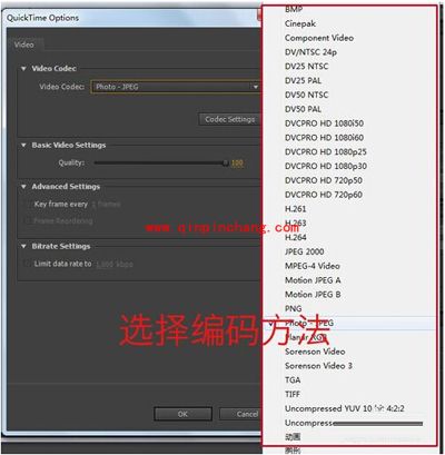 AE英文版导出视频的步骤图解