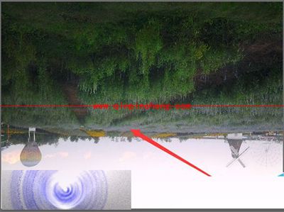 Adobe After Effects将图片或视频旋转方向的方法
