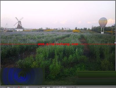 Adobe After Effects将图片或视频旋转方向的方法