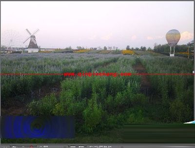 Adobe After Effects将图片或视频旋转方向的方法