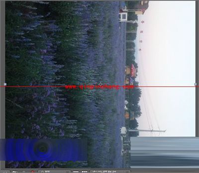 Adobe After Effects将图片或视频旋转方向的方法