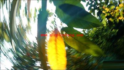 HTC拍摄照片的精妙秘技