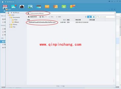 echo回声电脑版下载音乐的图文步骤