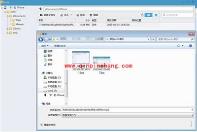 echo回声电脑版下载音乐的图文步骤