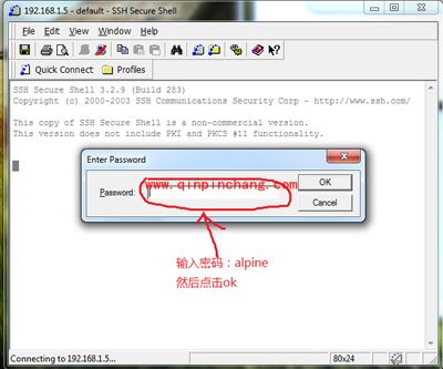 SSH安装插件有高招