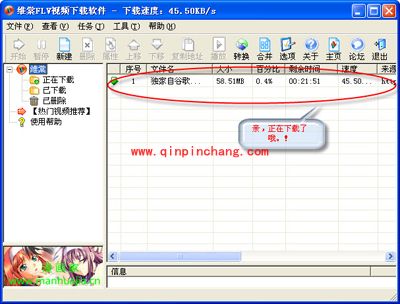 维棠FLV视频下载软件如何下载视频？