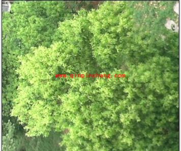 iOS7相机开启正方形拍照模式