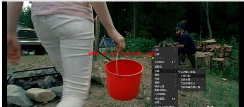 迅雷看看提取字幕文件好妙招