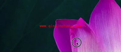 Quicktime player转换格式教程