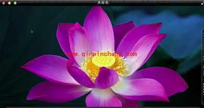Quicktime player转换格式教程