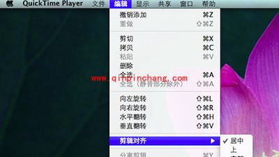 Quicktime player转换格式教程