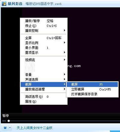 高手利用暴风影音截图有妙计