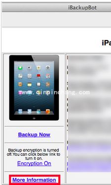查看iPhone电池信息的小窍门