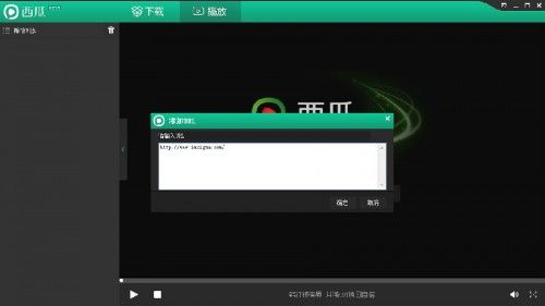西瓜影音怎么输入url？
