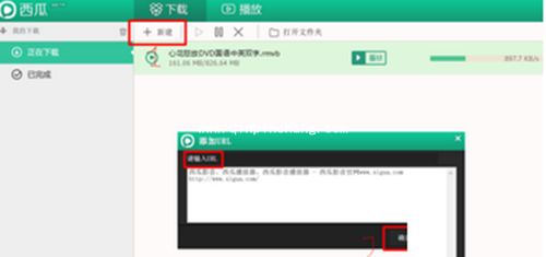 西瓜影音怎么输入url？