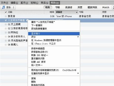 隐藏iPhone中音频文件的设置妙招