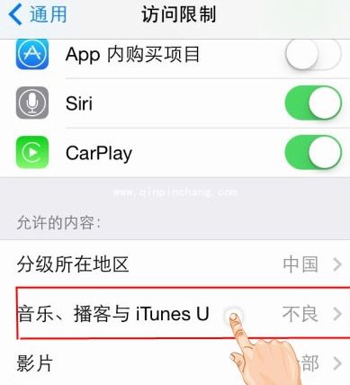 隐藏iPhone中音频文件的设置妙招