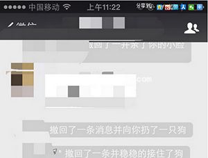微信撤回消息并向你扔了一只狗怎么玩