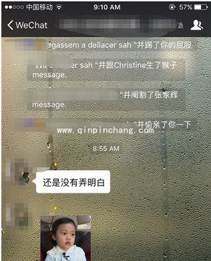 微信撤回消息并向你扔了一只狗怎么玩