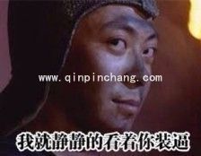 我就静静的看着你装逼表情包大全