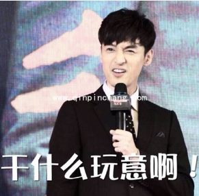 what?胡歌在霍建华林心如婚礼上抢亲gif表情包