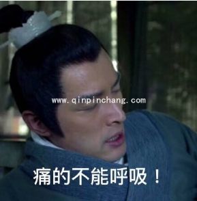 what?胡歌在霍建华林心如婚礼上抢亲gif表情包