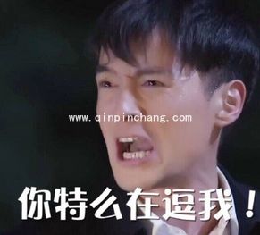 what?胡歌在霍建华林心如婚礼上抢亲gif表情包