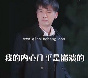 what?胡歌在霍建华林心如婚礼上抢亲gif表情包